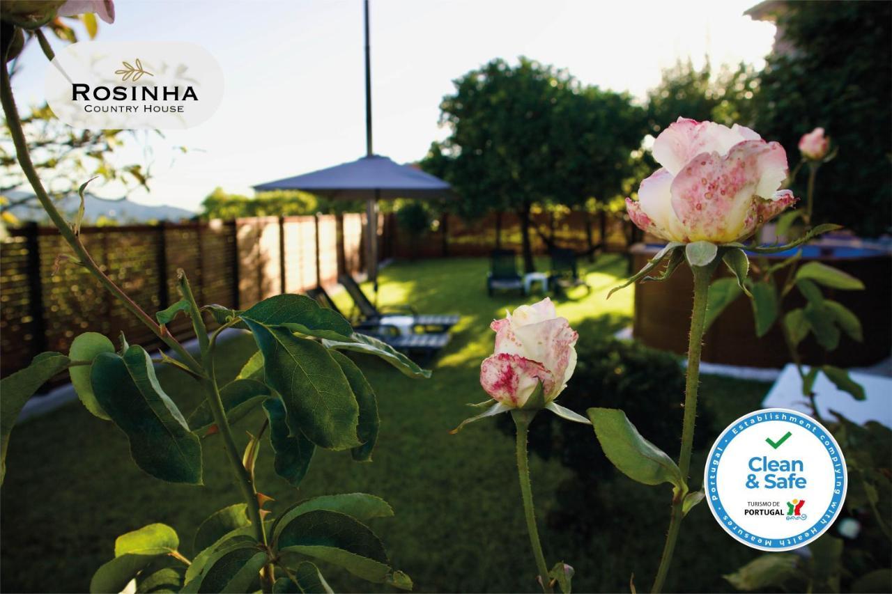 Rosinha Country House Vale de Cambra Exterior photo