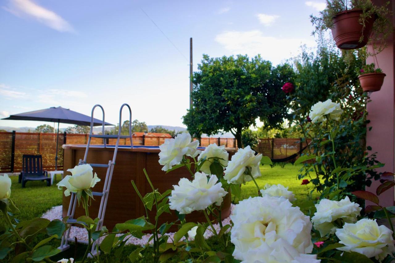 Rosinha Country House Vale de Cambra Exterior photo
