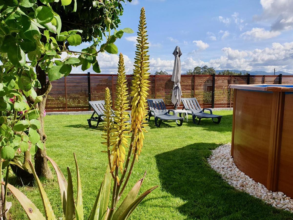 Rosinha Country House Vale de Cambra Exterior photo