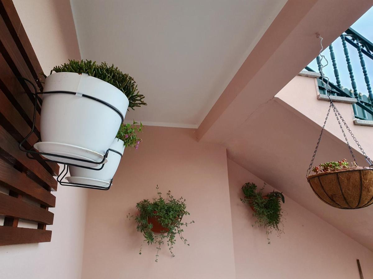 Rosinha Country House Vale de Cambra Exterior photo