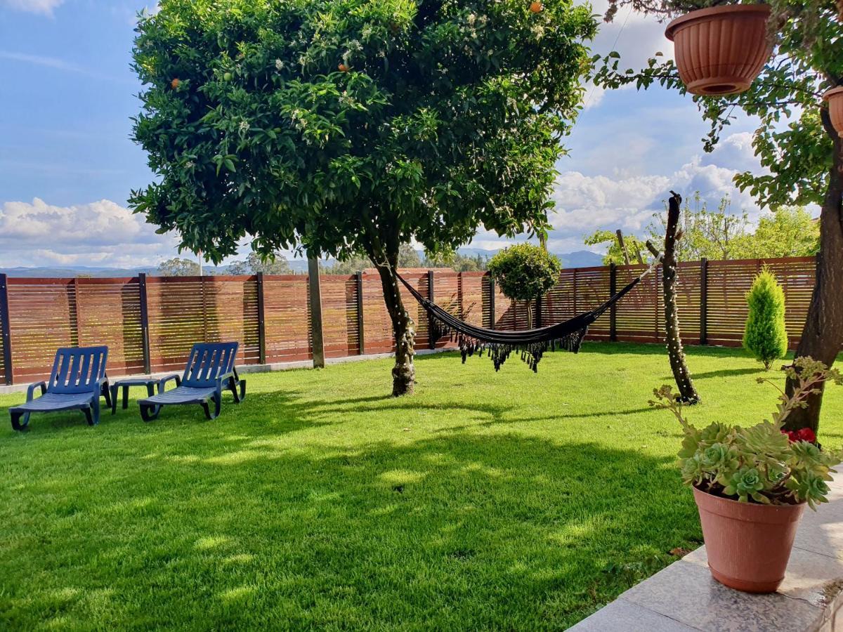 Rosinha Country House Vale de Cambra Exterior photo