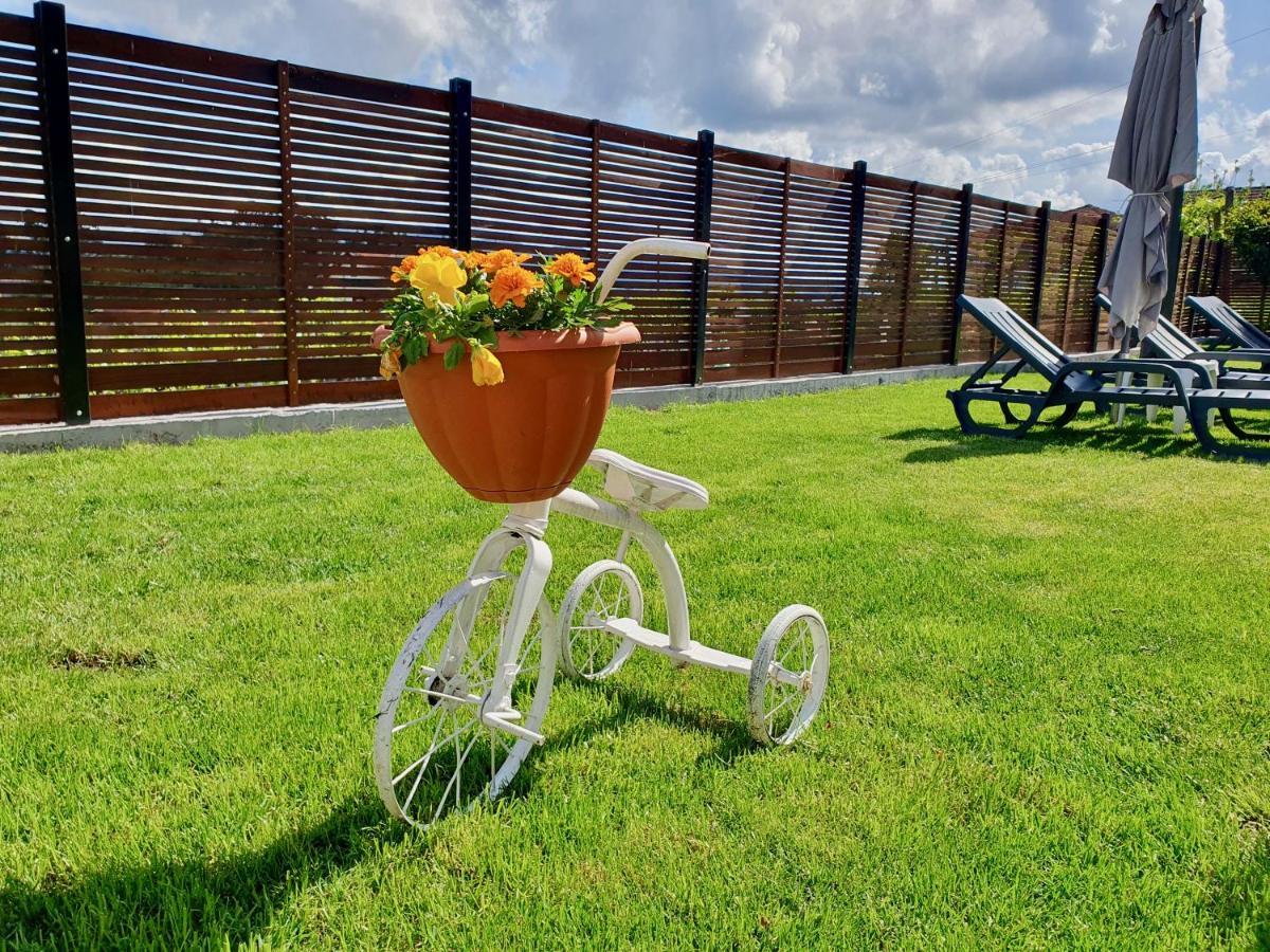 Rosinha Country House Vale de Cambra Exterior photo